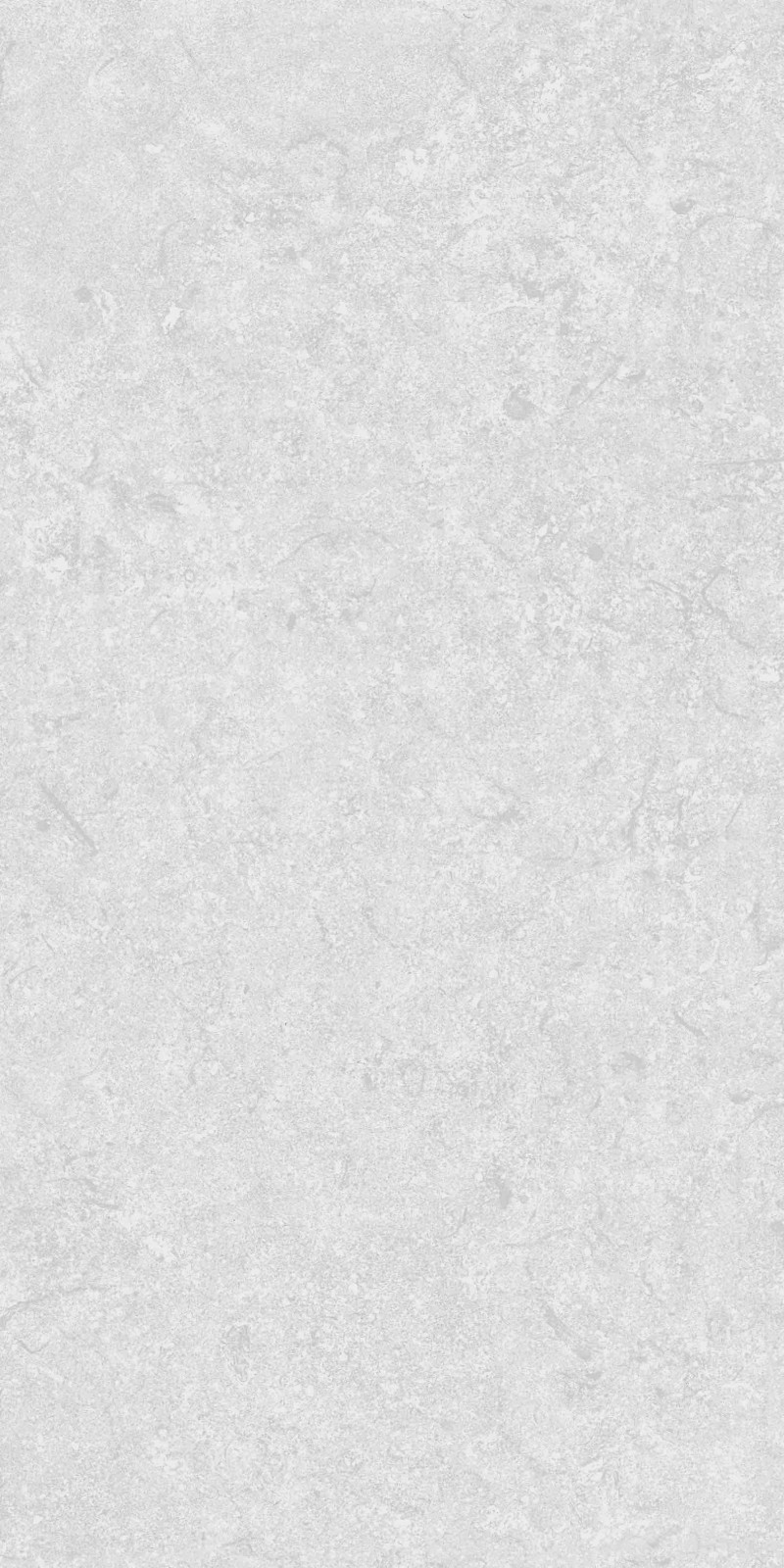Mist Grey Polished 600x1200